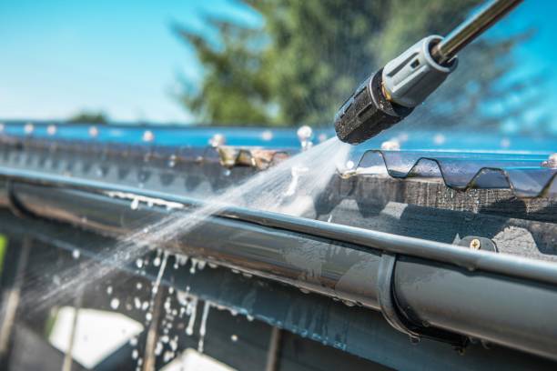 Best Exterior Home Cleaning  in Chisholm, MN