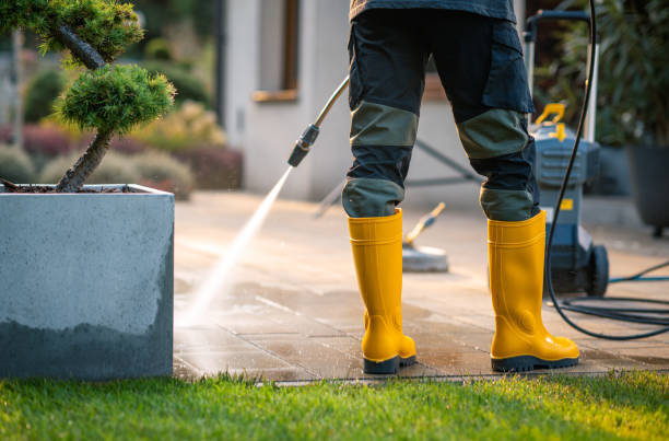 Best Pressure Washing Company Near Me  in Chisholm, MN
